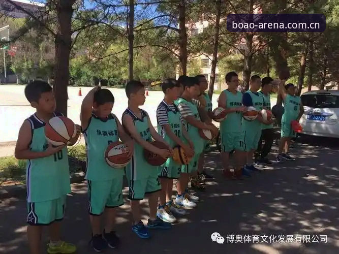 博奥体育怎么下载 新手必看:博奥体育平台下载全攻略,资深用户分享流畅体验心得